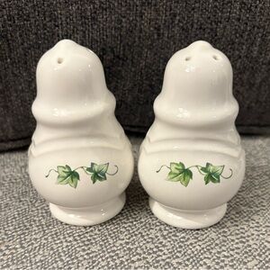 Pfaltzgraff Ivy Salt and Pepper Shakers 🧂🧂